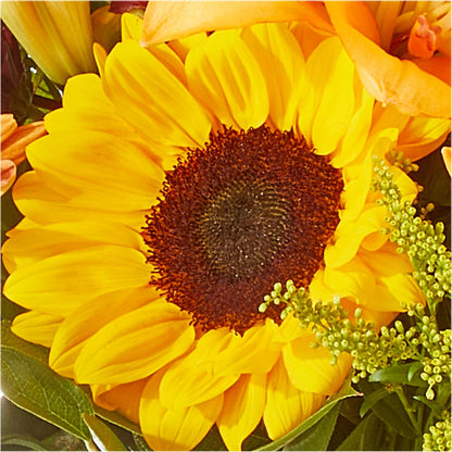 Seasons Change Bouquet –  Floristeria Fabiana, Charlotte NC