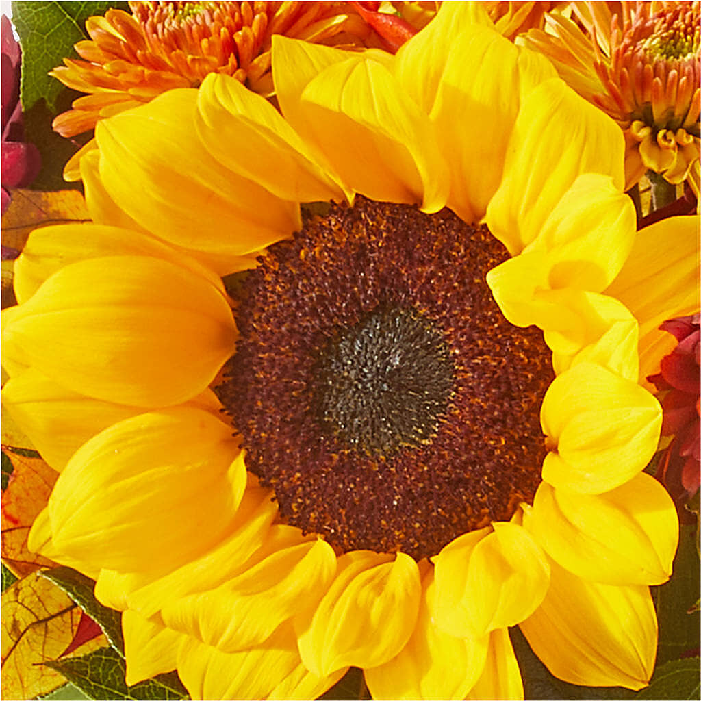 Sunny Side Bouquet –  Floristeria Fabiana, Charlotte NC