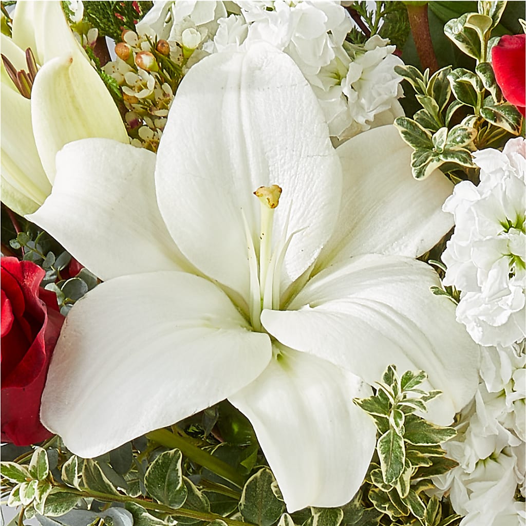 Twinkle Lights Bouquet –  Floristeria Fabiana, Charlotte NC