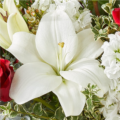 Twinkle Lights Bouquet –  Floristeria Fabiana, Charlotte NC
