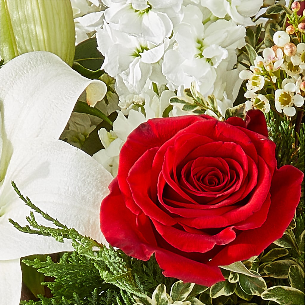 Twinkle Lights Bouquet –  Floristeria Fabiana, Charlotte NC