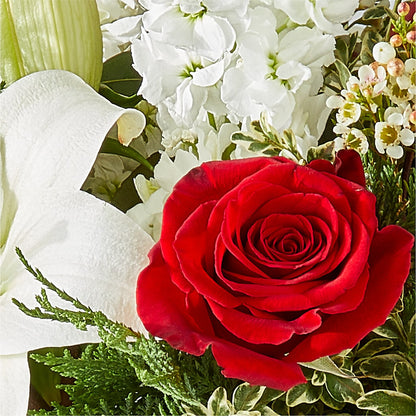 Twinkle Lights Bouquet –  Floristeria Fabiana, Charlotte NC