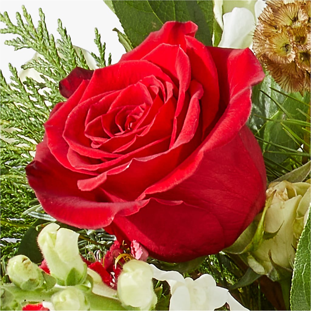 Deck the Halls Bouquet –  Floristeria Fabiana, Charlotte NC