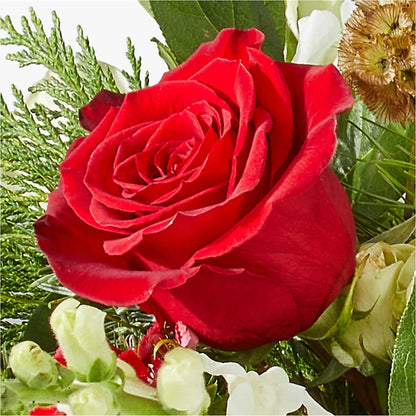 Deck the Halls Bouquet –  Floristeria Fabiana, Charlotte NC