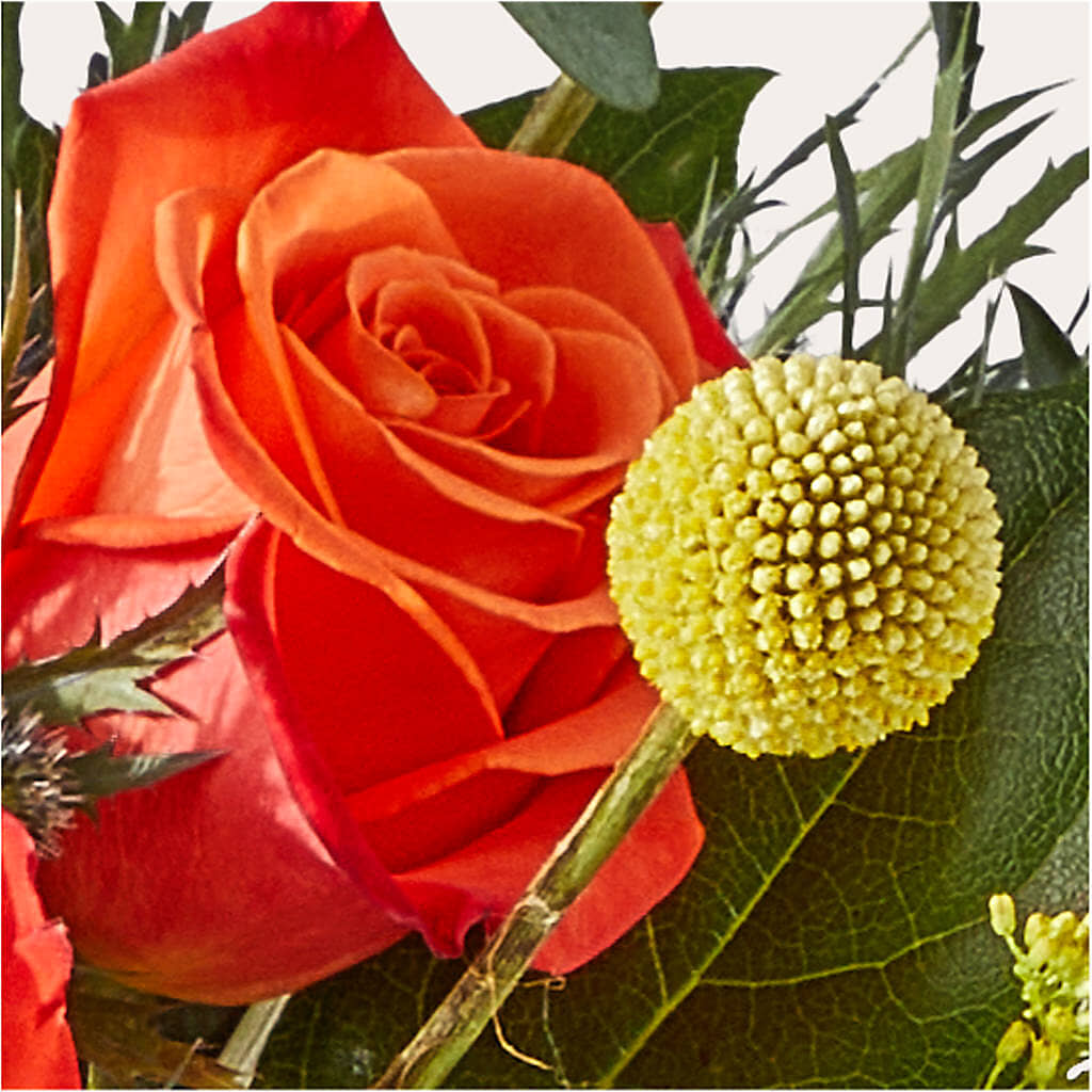 Disco Bouquet –  Floristeria Fabiana, Charlotte NC