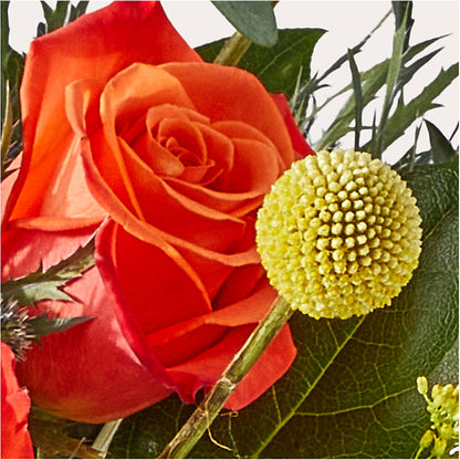 Disco Bouquet –  Floristeria Fabiana, Charlotte NC