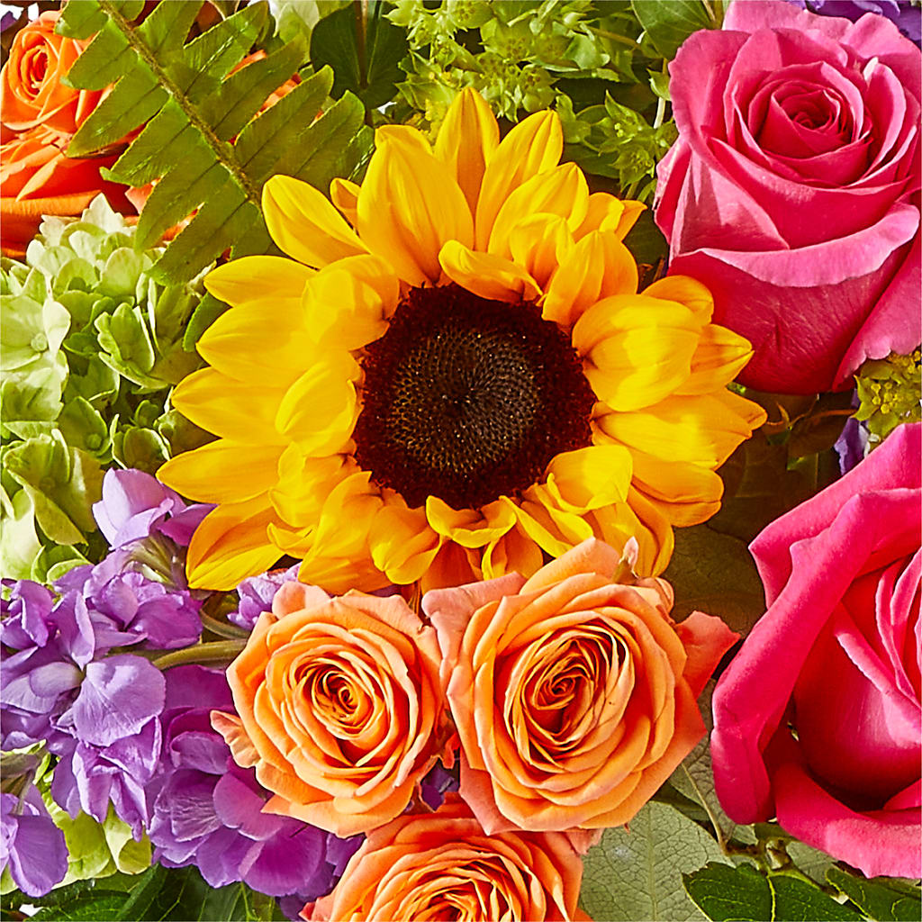 Vibrant Greetings Bouquet –  Floristeria Fabiana, Charlotte NC