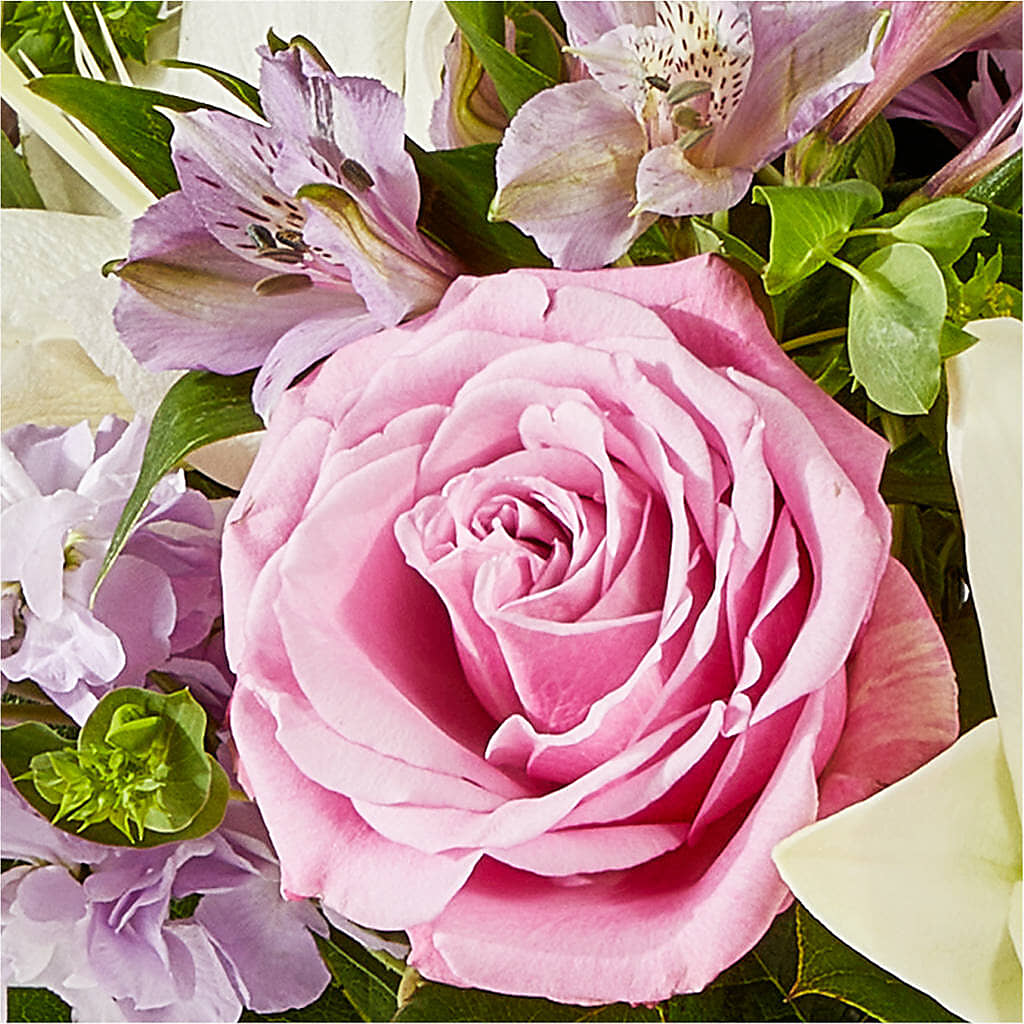 Daydreamer Bouquet –  Floristeria Fabiana, Charlotte NC