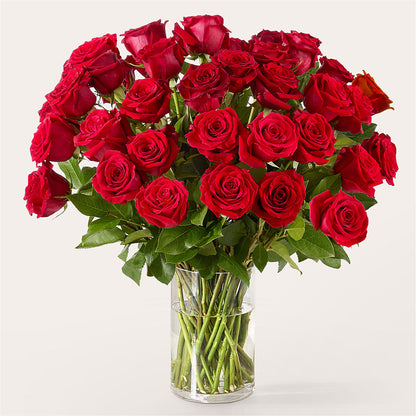 The One Red Rose Bouquet –  Floristeria Fabiana, Charlotte NC