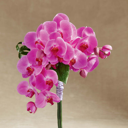 Glorious Bouquet –  Floristeria Fabiana, Charlotte NC