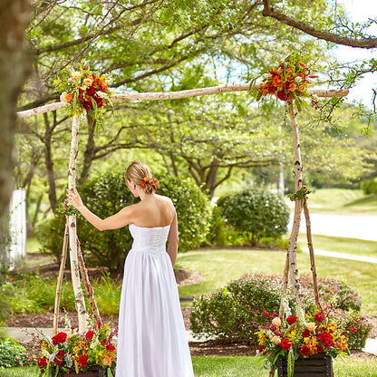 Arbor of Love Archway –  Floristeria Fabiana, Charlotte NC