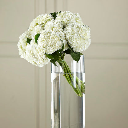 White Hydrangea Hand-Tied Bouquet –  Floristeria Fabiana, Charlotte NC