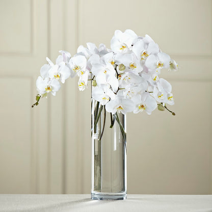 White Phalaenopsis Bouquet –  Floristeria Fabiana, Charlotte NC