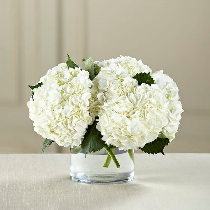 White Hydrangea Bouquet –  Floristeria Fabiana, Charlotte NC