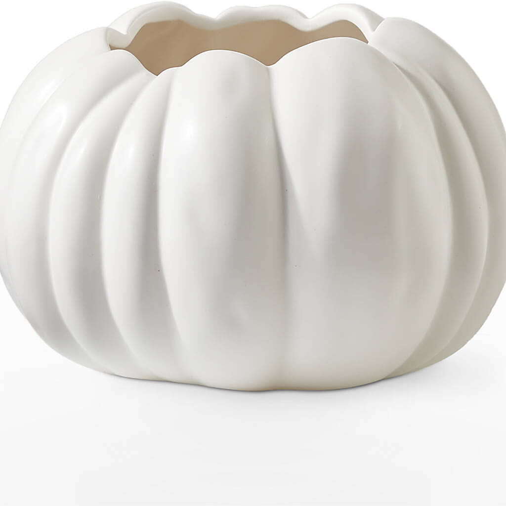 Pumpkin to Talk About Bouquet –  Floristeria Fabiana, Charlotte NC
